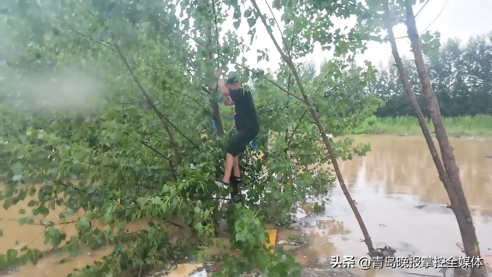 两轮强降雨天气到来，青岛消防多次出动营救被困群众