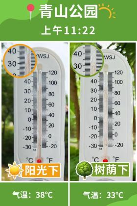 普降5-6℃！青山“大自然空调”免费又凉快