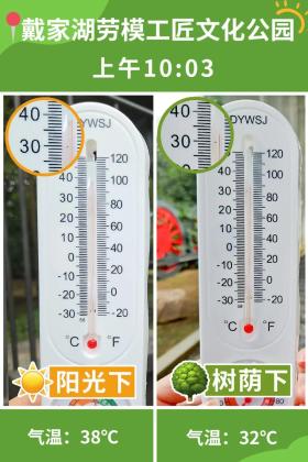 普降5-6℃！青山“大自然空调”免费又凉快  第28张