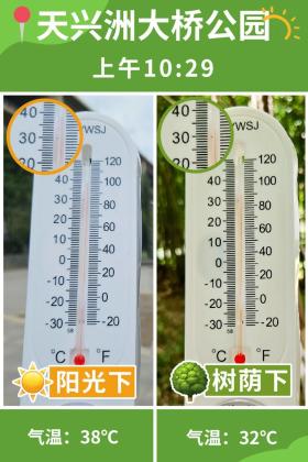 普降5-6℃！青山“大自然空调”免费又凉快  第41张