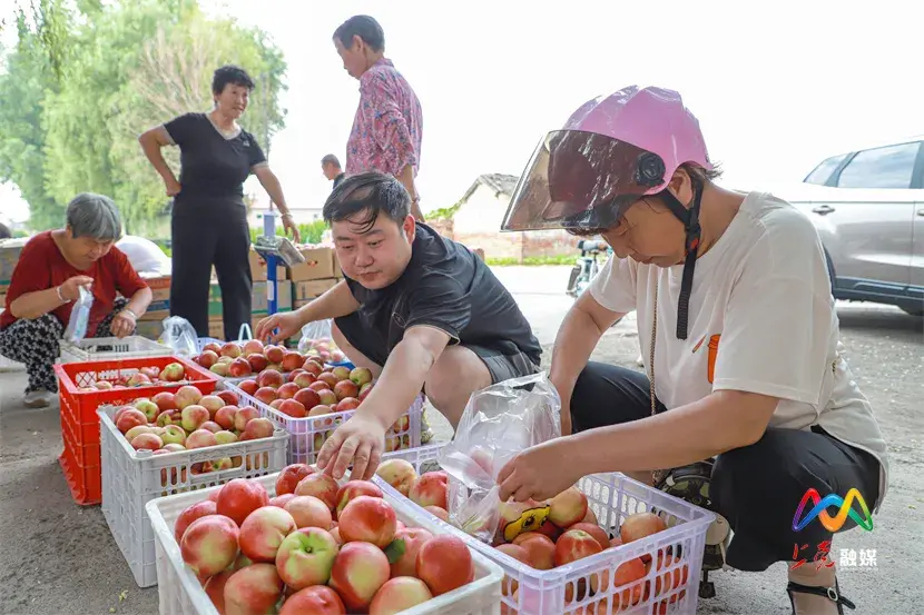 上党区柳林村：甜蜜“桃”产业为乡村振兴注入“鲜”动力