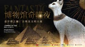 本周末宠物猫将首次在博物馆聚会！猫主人应该做好哪些准备？