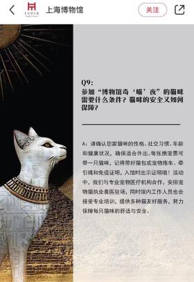 本周末宠物猫将首次在博物馆聚会！猫主人应该做好哪些准备？  第5张