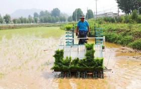 济南市钢城区：“蟹＋稻＋N”共作 蹚出乡村振兴路  第1张