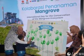 国能印尼爪哇发电公司举办红树林保护开放日活动