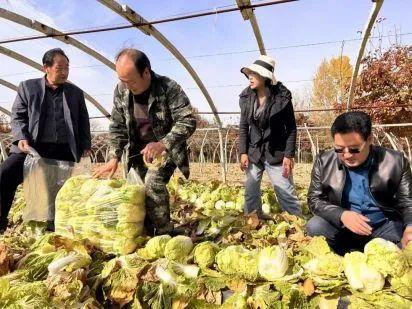 祖国好 家乡美青海乐都：用真情和实干“驻”进群众心坎里  第4张