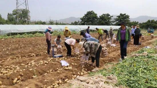 祖国好 家乡美青海乐都：用真情和实干“驻”进群众心坎里  第3张