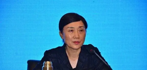 李微微接受审查调查  第1张